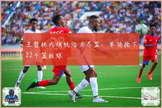 王哲林内线统治力尽显,单场抢下22个篮板球