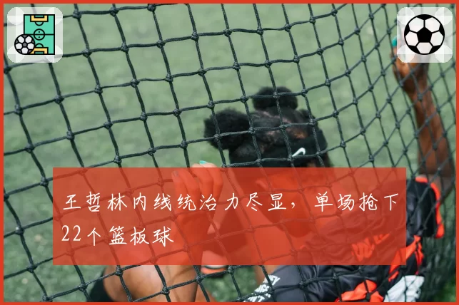 王哲林内线统治力尽显,单场抢下22个篮板球