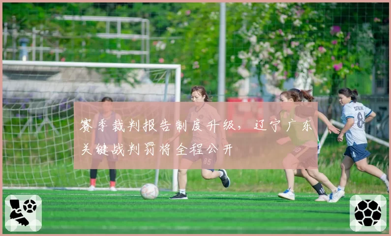 赛季裁判报告制度升级，辽宁广东关键战判罚将全程公开